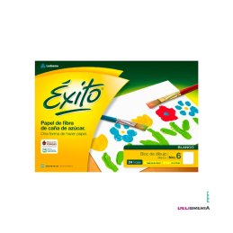 BLOCK DIBUJO EXITO Nº 6 BLANCO 24 HS