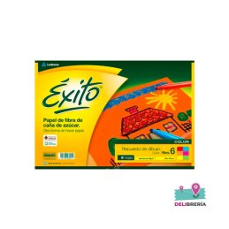 BLOCK DIBUJO EXITO Nº 6 COLOR 24 HS