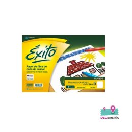 BLOCK DIBUJO EXITO N 5 BLANCO 24 HS
