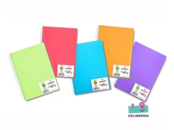 ALBUM CANSON ARTBOOK NOTES 50H A5 120G PURPURA