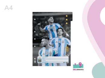 SEPARADOR MATERIA MOOVING A4 AFA