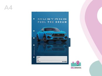 SEPARADOR MATERIA MOOVING A4 FORD