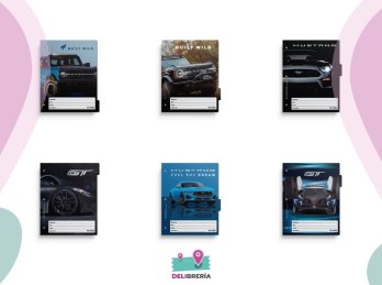 SEPARADOR MATERIA MOOVING A4 FORD