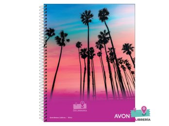 CUADERNO AVON 29 T/FLEXIBLE 84 HS ESPIRAL CUADRICULADO