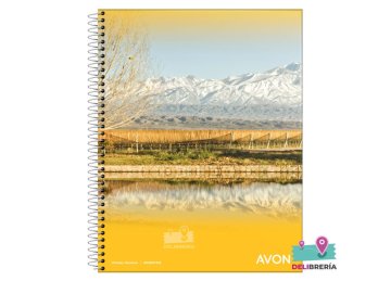 CUADERNO AVON 29 T/FLEXIBLE 84 HS ESPIRAL RAYADO